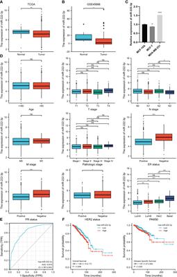 Identification and comprehensive analysis of epithelial–mesenchymal transition related target genes of miR-222-3p in breast cancer